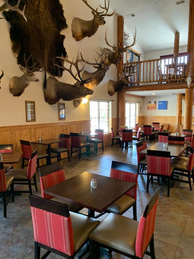 The Antler Lodge - Gardiner Exteriör bild